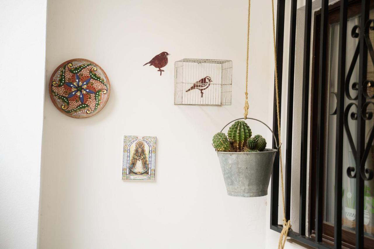 Apartamento Camino Mozarabe บาเอนา ภายนอก รูปภาพ